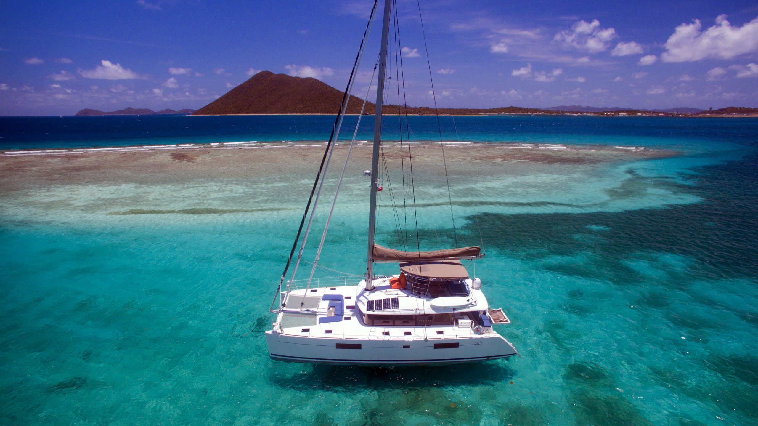 blue cat catamaran